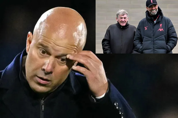 '͵' ѧͧ˹觡ع˧쪹ҡش 50 Ѵá