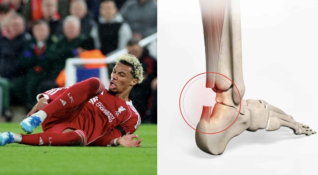 '���͵' �ѻവ '�͡Ե���' ��ҵѴ����-���͡�Ѻ����觡������