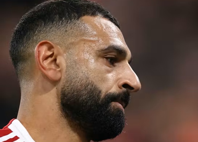 �Դ���� 5 �����蹫�� '������'-��������ҵ���Ҩ������� '���͵'